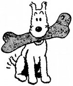 Image of 
