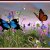 Image of 