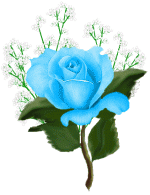 Image of 