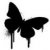 Avatar of Sfng